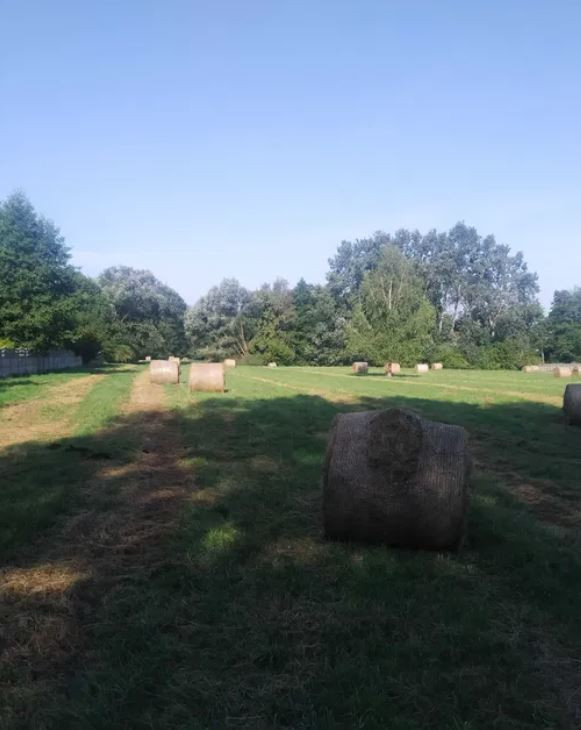 Działka Sprzedaż Warszawa Białołęka
