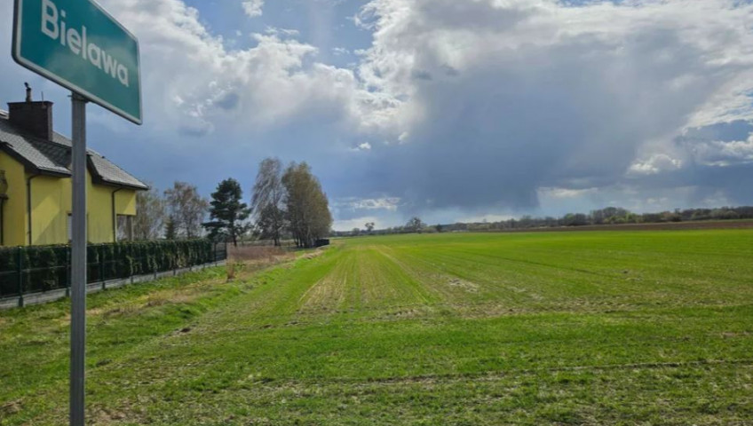 Działka Sprzedaż Okrzeszyn