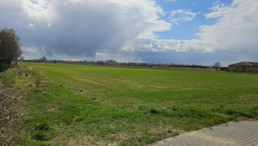 Działka Sprzedaż Okrzeszyn