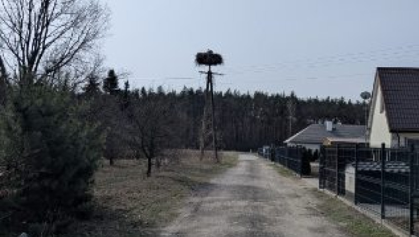Działka Sprzedaż Emilianów