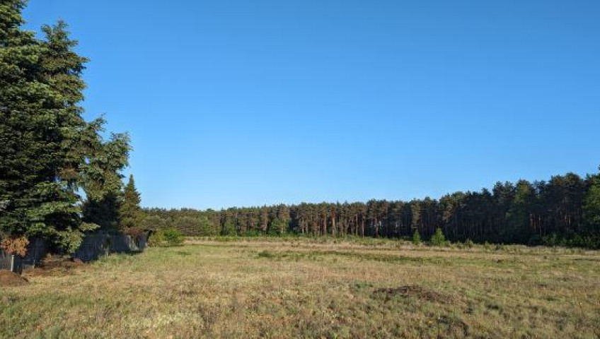 Działka Sprzedaż Emilianów