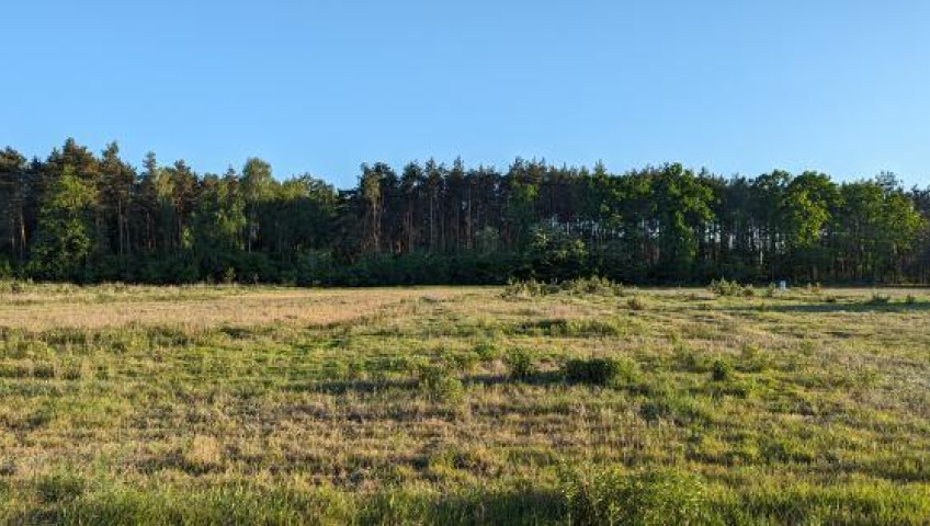 Działka Sprzedaż Emilianów